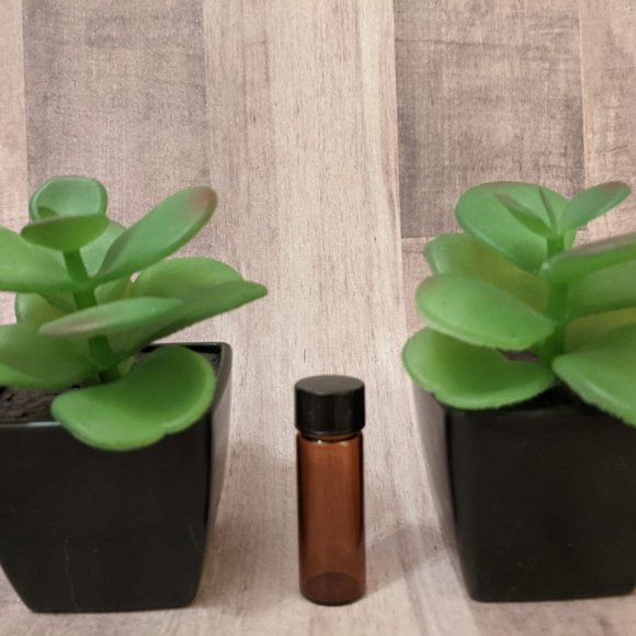 Aveda Shampure Spirit Oil in Amber Glass Vial w/Dropper Pure-Fume JUMBO 2 fl oz!